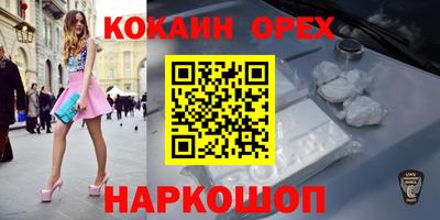 гидропоника Сланцы