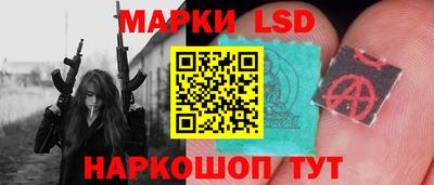 гидропоника Сланцы