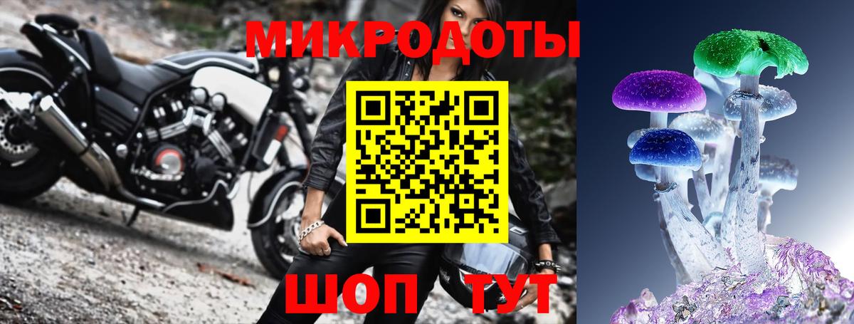 Галлюциногенные грибы Cubensis Норильск