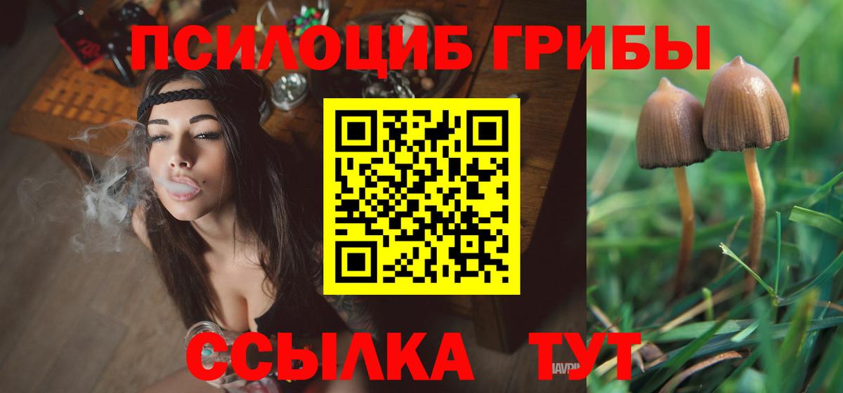 Норильск  Галлюциногенные грибы MAGIC MUSHROOMS  Вход с VPN 